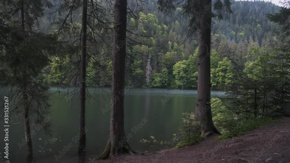 Blue water in a forest lake with pine trees Blue water in a forest lake with pine trees
