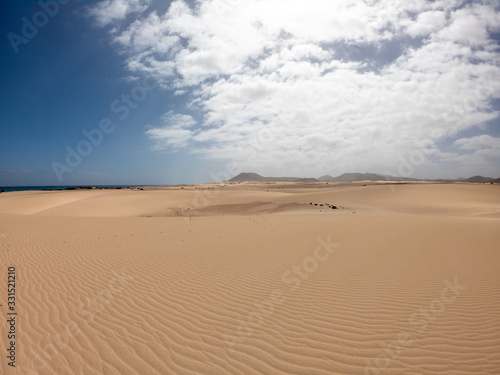 Corralejo Sand Dunes  Fuerteventura  Spain  Desert in sunny day 
