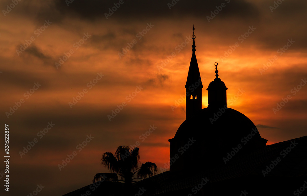 Old dome and minaret of Ottoman building Sepetciler Kasri (built on 1643) at Istanbul city in the silhouette with a palm tree when sunset.