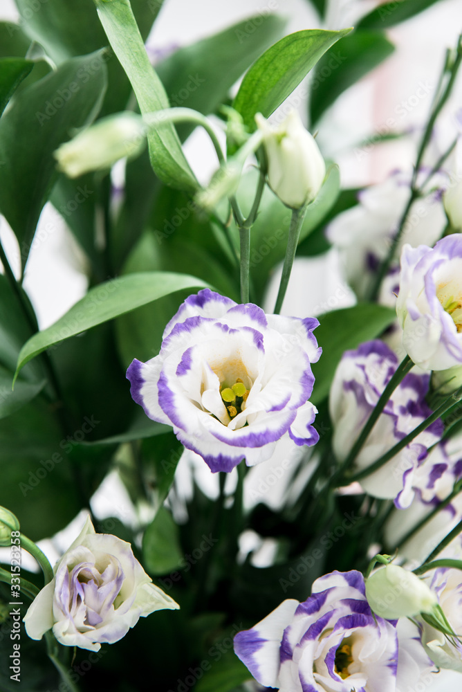 Beautiful bouquet of spring flowers in vase. Floral composition of fresh white violet eustoma flowers. Gift. Celebration concept. Blooming flowers. Beautiful bouquet of spring flowers in vase. Floral composition of fresh white violet eustoma flowers. Gift. Celebration concept. Blooming flowers.
