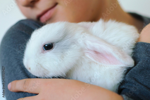 white rabbit in the hands of a boy