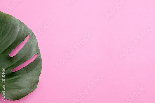 Monstera leaf on an pink background. Copy space