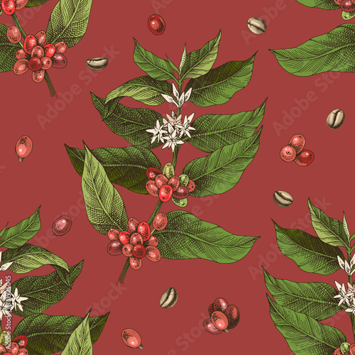 Seamless pattern with colorful hand drawn coffee tree branches and beans