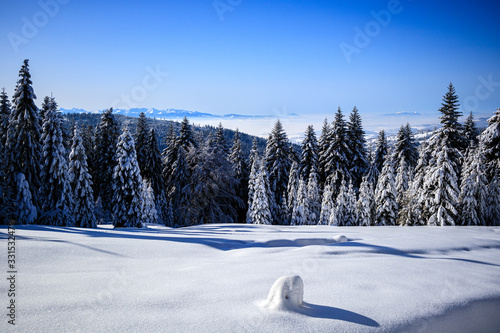 Widok na Tatry 