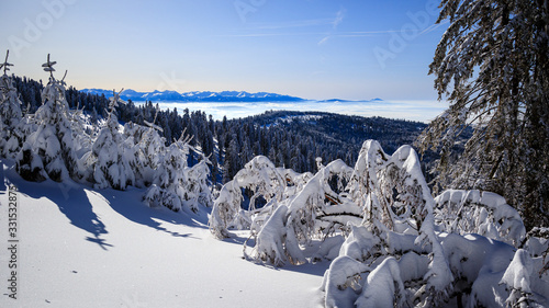 Fototapeta Naklejka Na Ścianę i Meble -  Tatry z Turbacza 