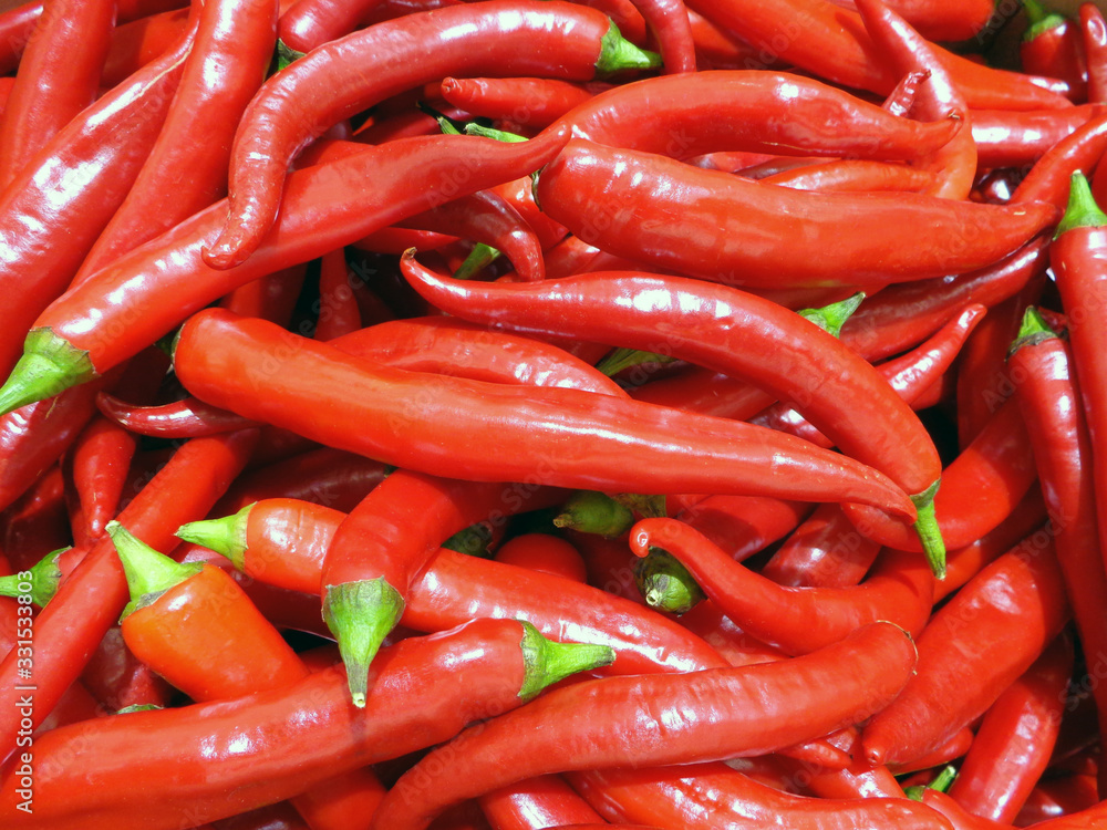 red hot chilli pepper sold on the market