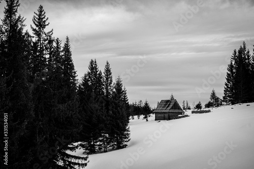 Fototapeta Naklejka Na Ścianę i Meble -  Bacówka w Górach 