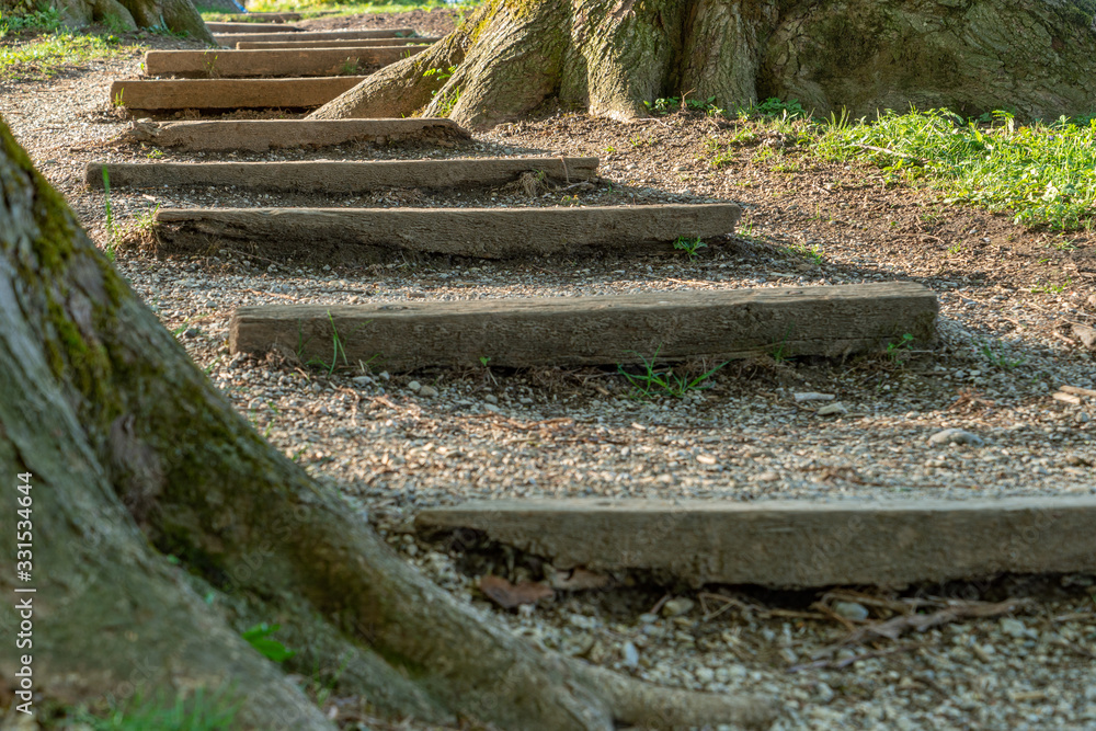 Ein Naturweg führt über Holztreppen zwischen alten Bäumen Ein Naturweg führt über Holztreppen zwischen alten Bäumen