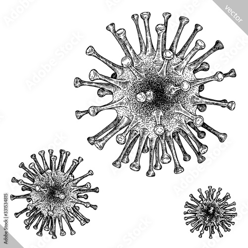 black and white engrave isolated coronavirus vector illustration
