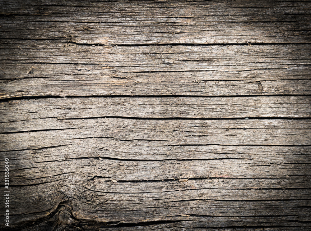dried wood background macro