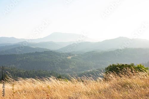 Fototapeta Naklejka Na Ścianę i Meble -  Rolling Hills 4