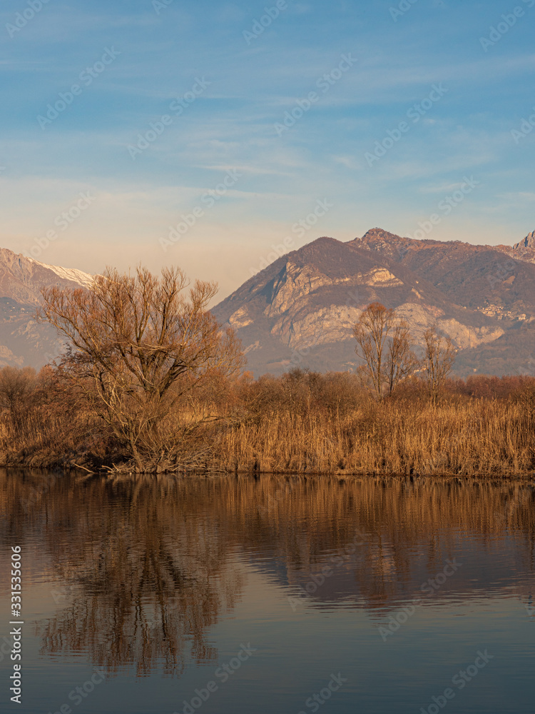 Tree in the foreground and mountains in the background are reflected in the river water