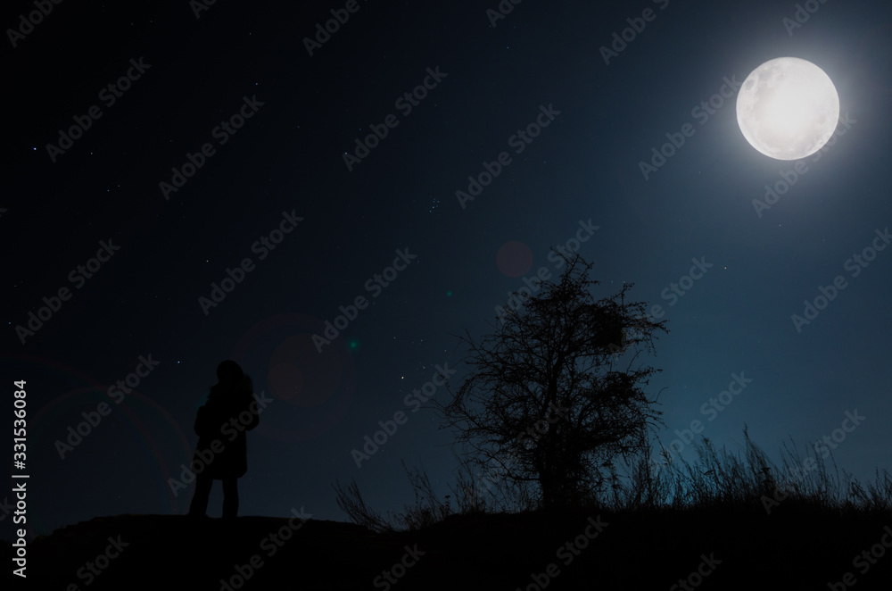 silhouette of man in front of moon and tree