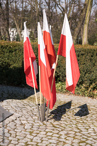 Patriotyzm. Polskie barwy narodowe.