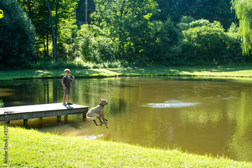 Dog jumping in a pond to retrieve ball photo