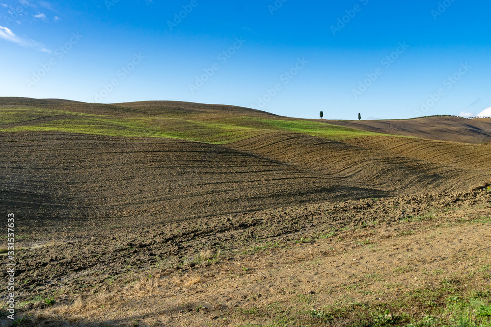 Tuscany landscape at gentle sunrise light. Typical for the region tuscan hills. Italy