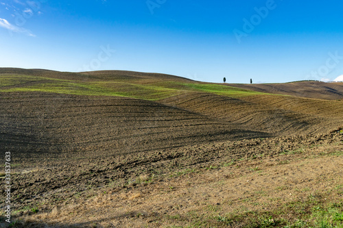 Tuscany landscape at gentle sunrise light. Typical for the region tuscan hills. Italy