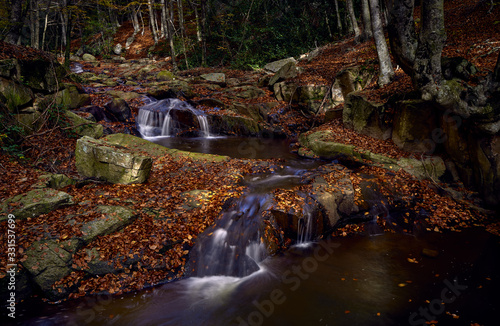 Arroyo en el bosque en otoño con hojas en el suelo