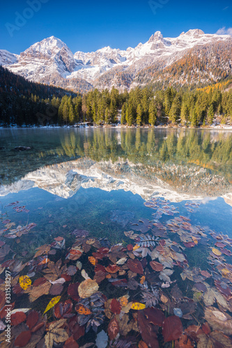 foliage in the alpine lake of Tovel, Trentino, Italy photo