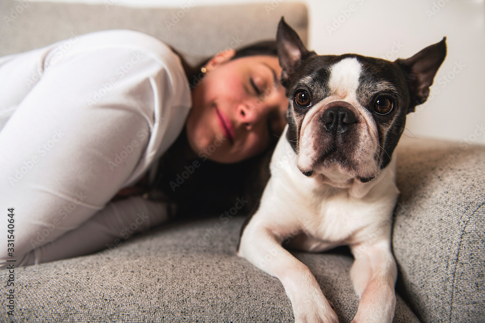 Woman with is Boston Terrier on the living room Woman with is Boston Terrier on the living room