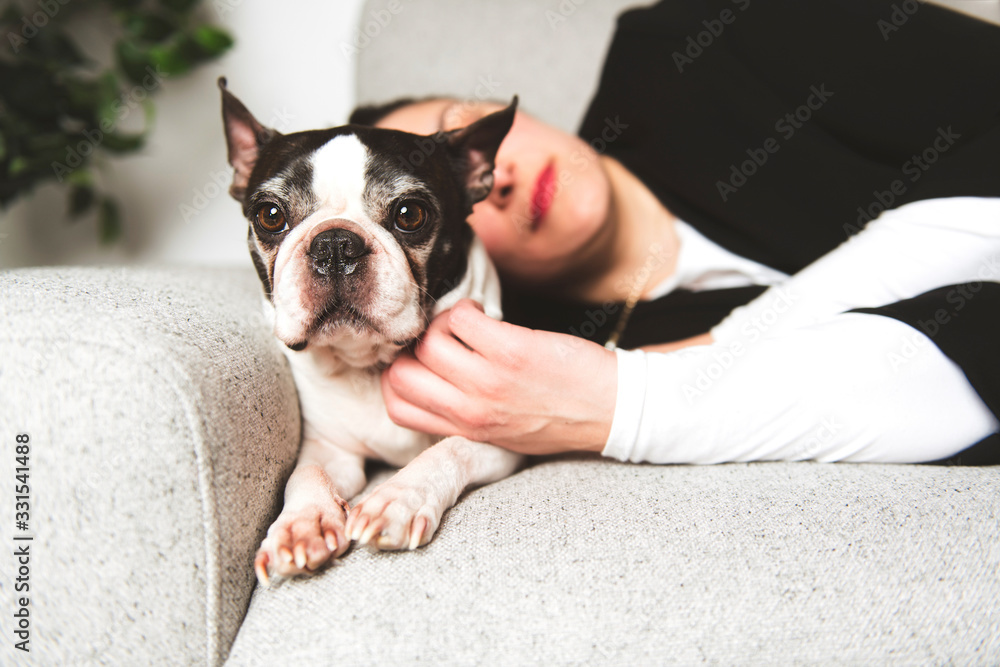 Woman with is Boston Terrier on the living room Woman with is Boston Terrier on the living room