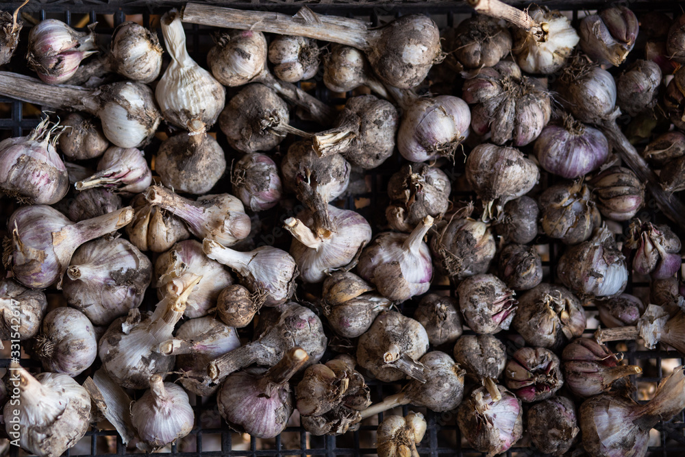 organic garlic in plastic boxes organic garlic in plastic boxes