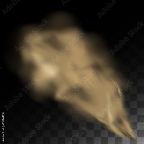 Plakat Sand with dirt, city smell smog, heavy thick dust, brown cloud. Dust cloud with particles realistic vector isolated.