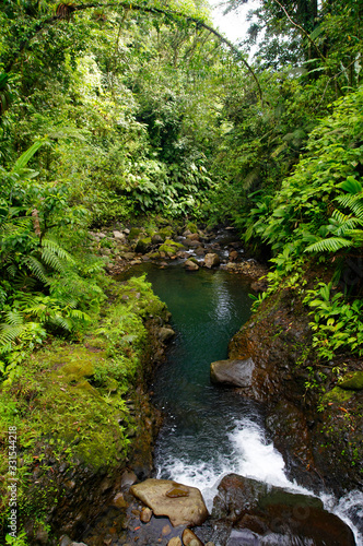 Mountain stream inside a tropical forest located in the National Guadeloupe park, Basse-Terre, Guadeloupe © gadzius