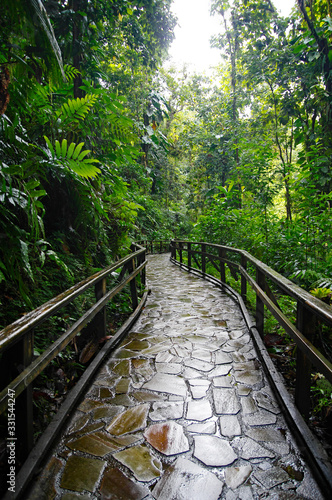 A stone trail leading to Chute du Carbet waterfalls group inside a tropical forest located in Basse-Terre  Guadeloupe.