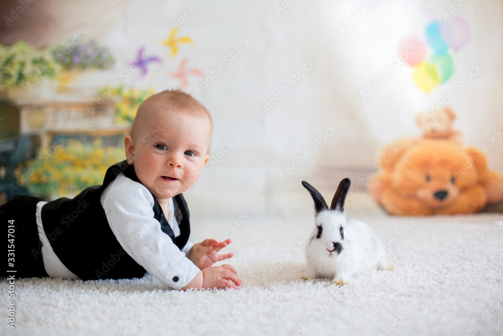 Cute little toddler boy, dressed smart casual, playing with little black and white rabbit Cute little toddler boy, dressed smart casual, playing with little black and white rabbit