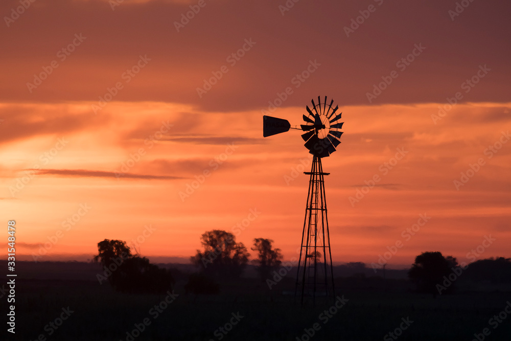 Pampas sunset landscape, La pampa, Argentina Pampas sunset landscape, La pampa, Argentina
