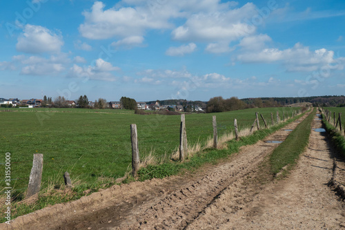 Wanderweg durch die grüne, ländliche Natur photo