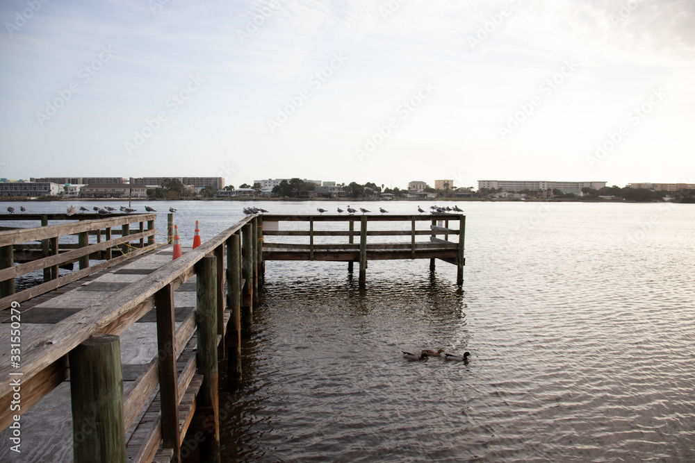 Pier & Gulls on the Gulf Pier & Gulls on the Gulf