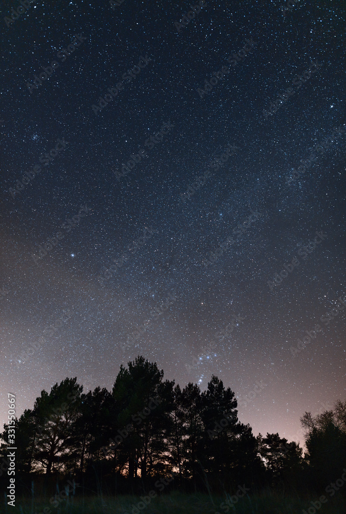 Clear night sky full of stars.