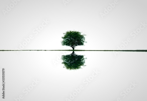 Tree of Hope, Mirror of the world