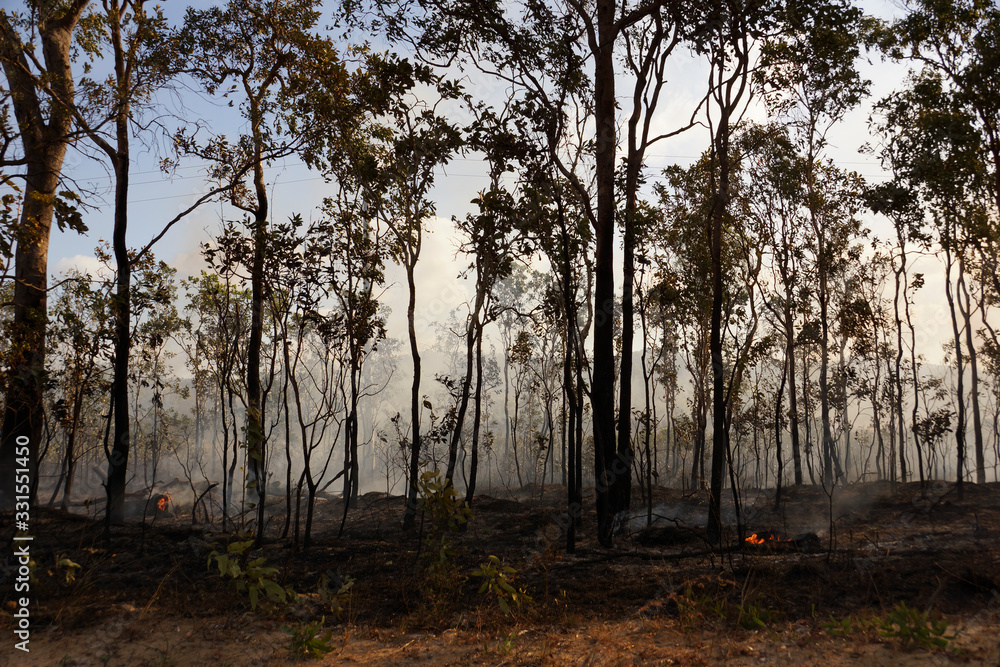 Bushfire and Smoke in Australia, Queensland, East Coast Bushfire and Smoke in Australia, Queensland, East Coast