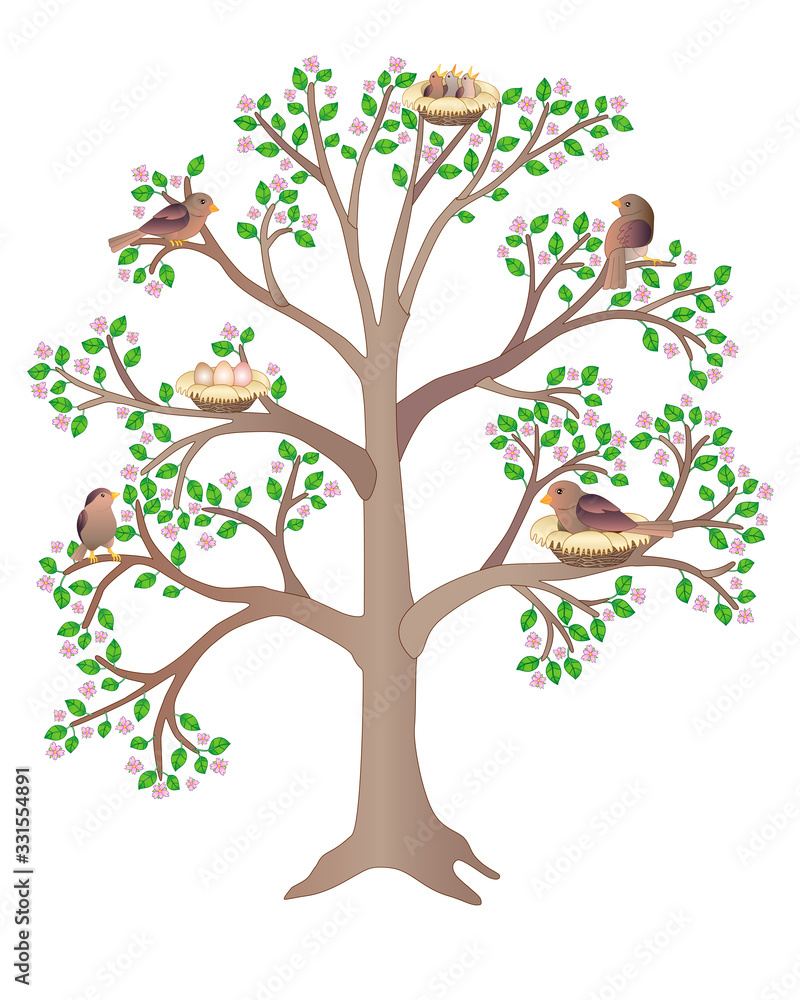 Birds living on a large, flowering, spring tree vector full color