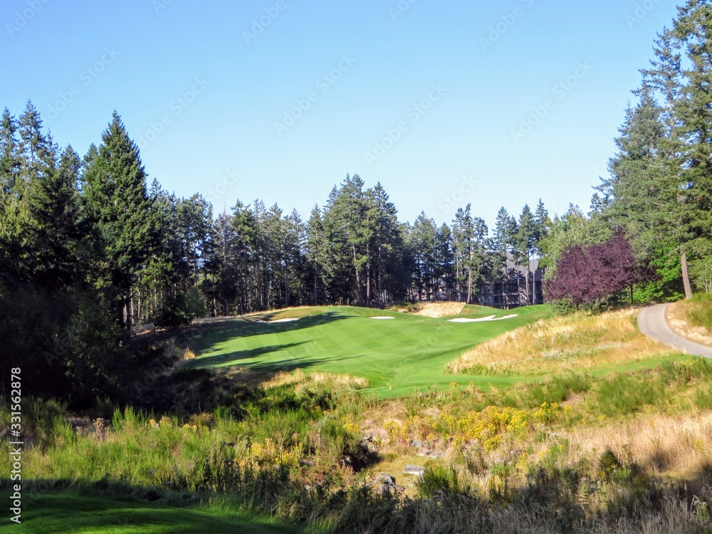 A spectacular view of a par 4 golf hole surrounded by forest and well manicured fairway, in Victoria, British Columbia, Canada, on a beautiful summer evening