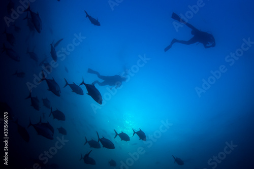 Scuba diving in ocean with fish 