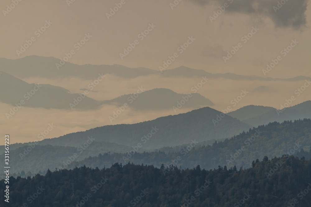 Obraz premium The Great Smoky Mountains