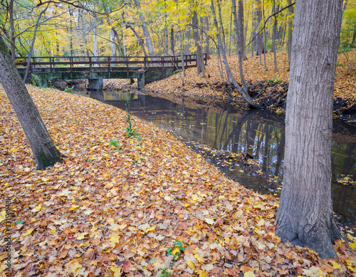 Autumn on St. Jopseph's Creek at Maple Grove Forest Preserve, DuPage County, Illinois. photo