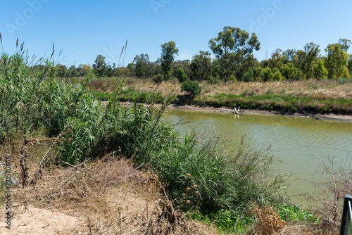 Hiking at Nahal Sorek photo