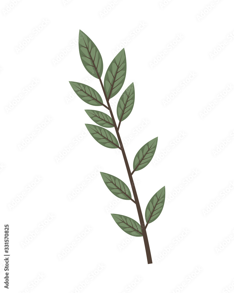 branch with leafs plant ecology icon branch with leafs plant ecology icon