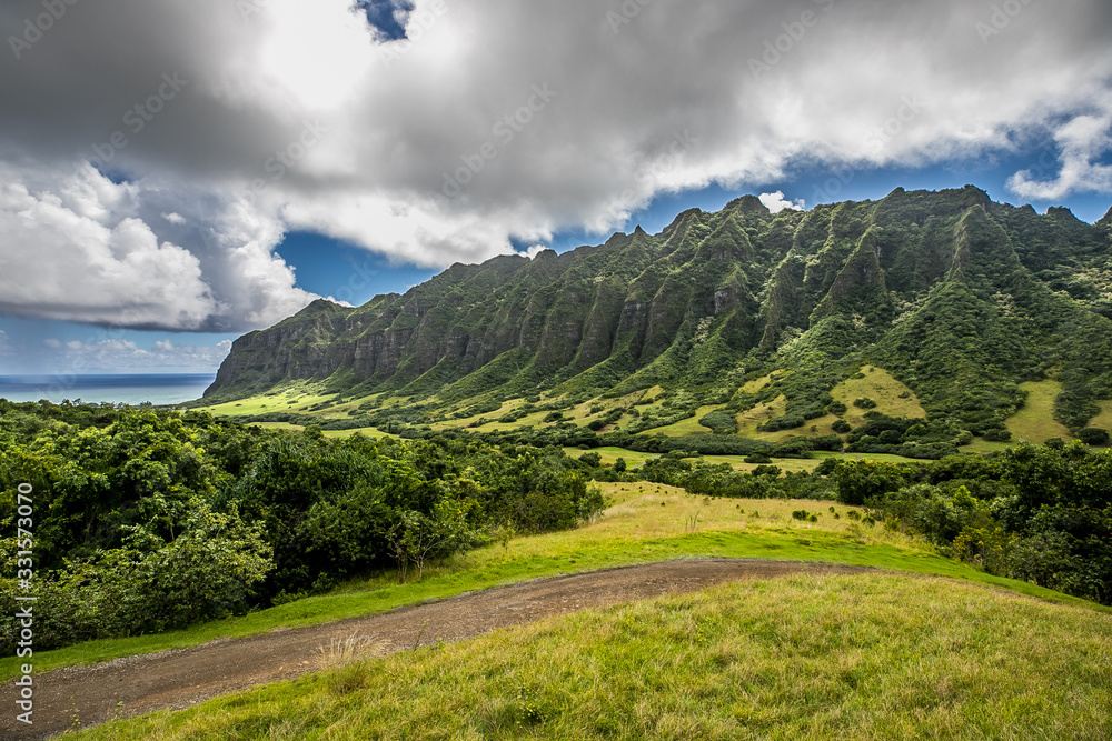 Fototapeta premium Hawaiian Mountains