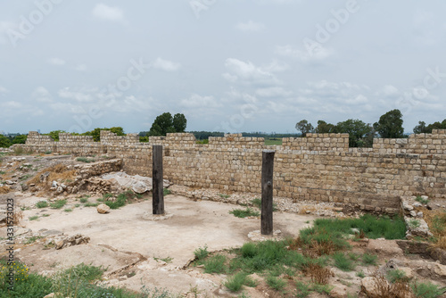 Yarkon National Park in central Israel photo