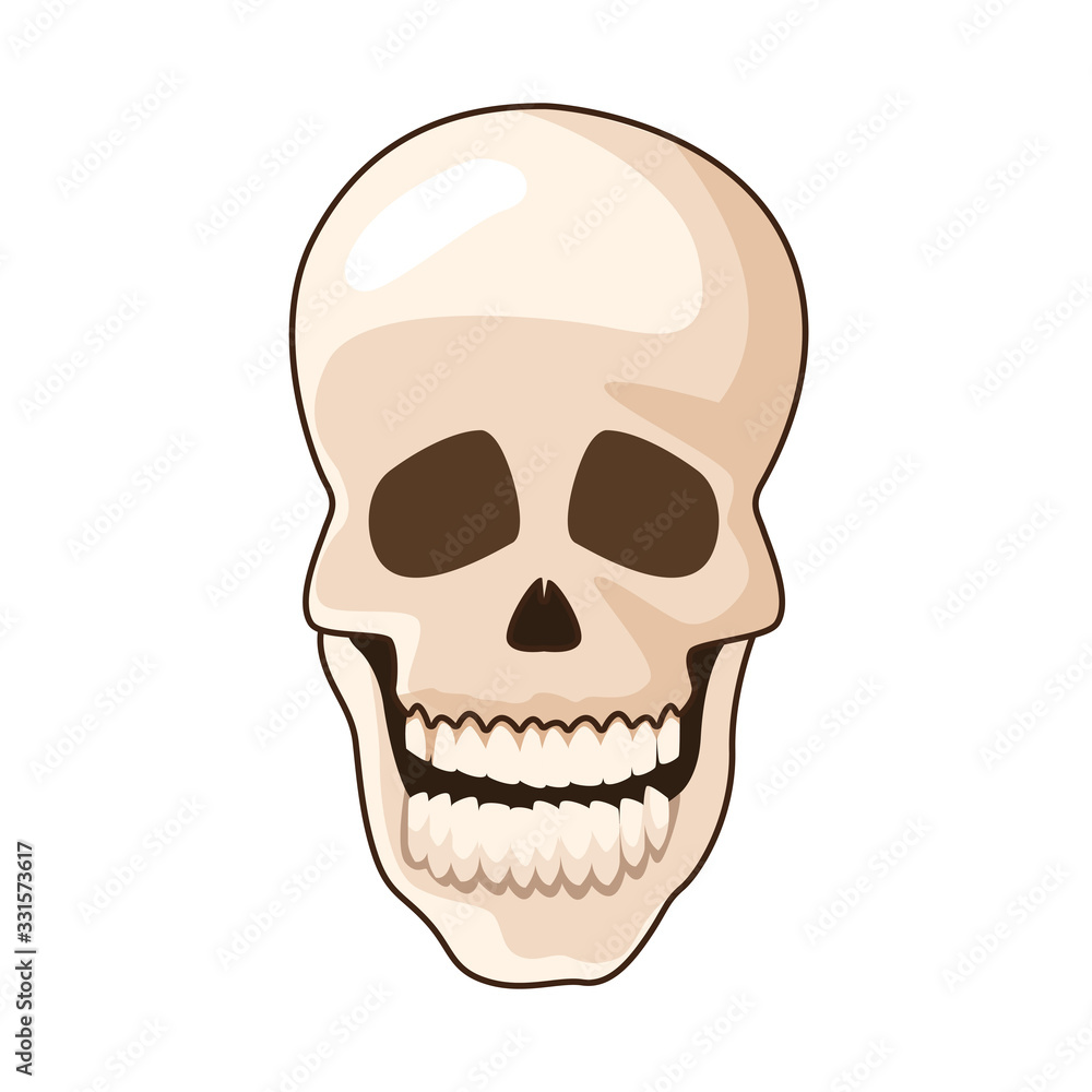 head skull bone isolated icon