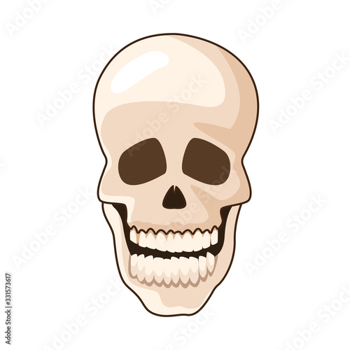 head skull bone isolated icon