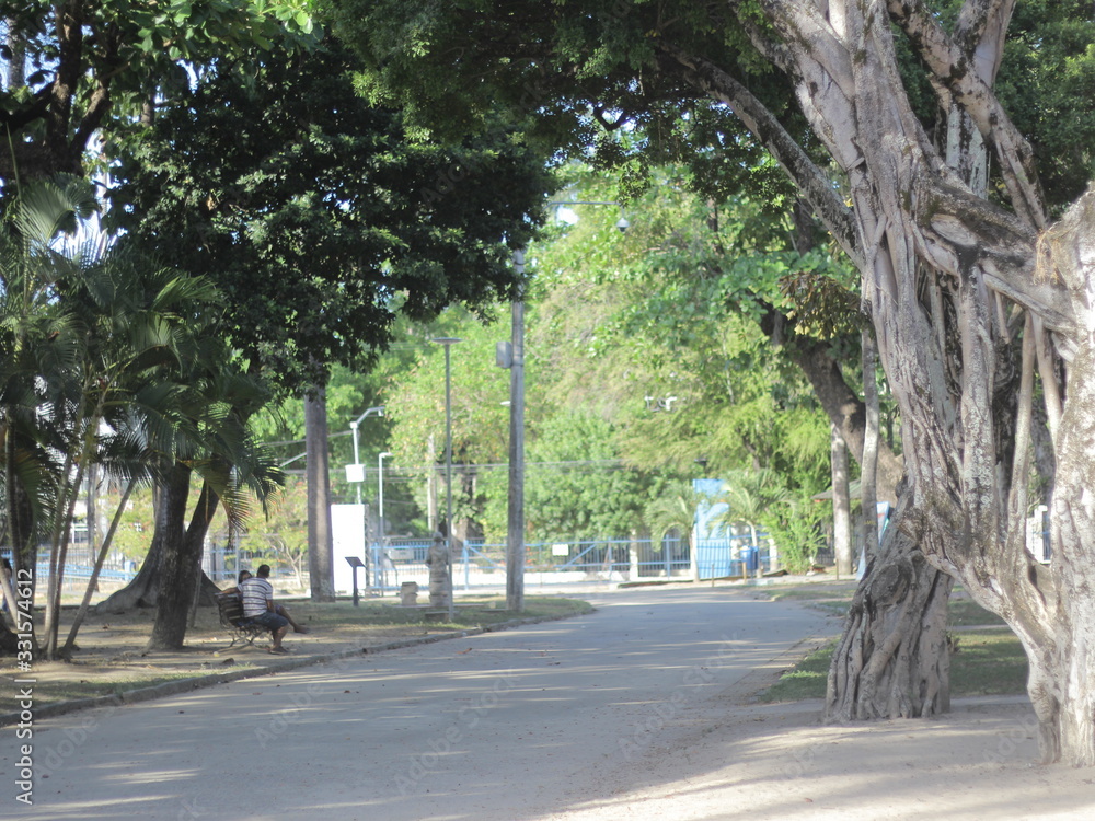 Obraz premium Park