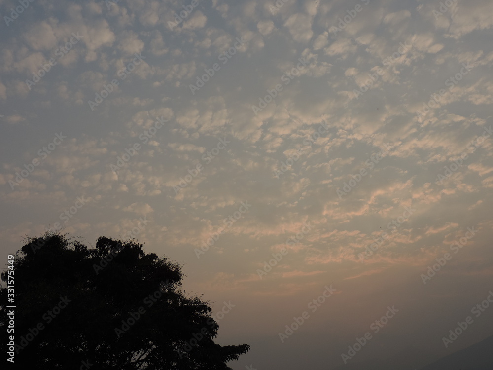 cielo cielo