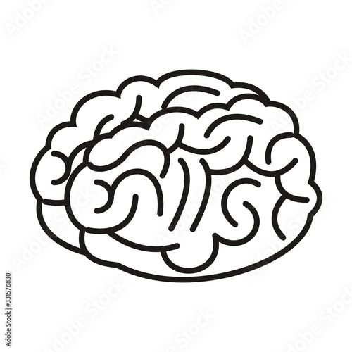 brain organ human isolated icon